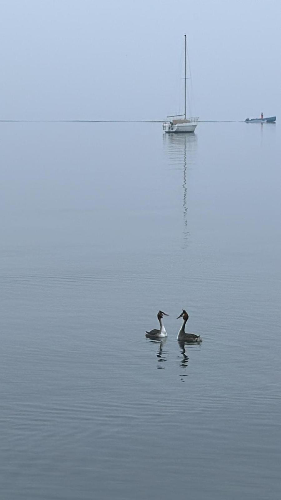 Apartment Residenza Giovanni Fronte Lago - Garda Lago *