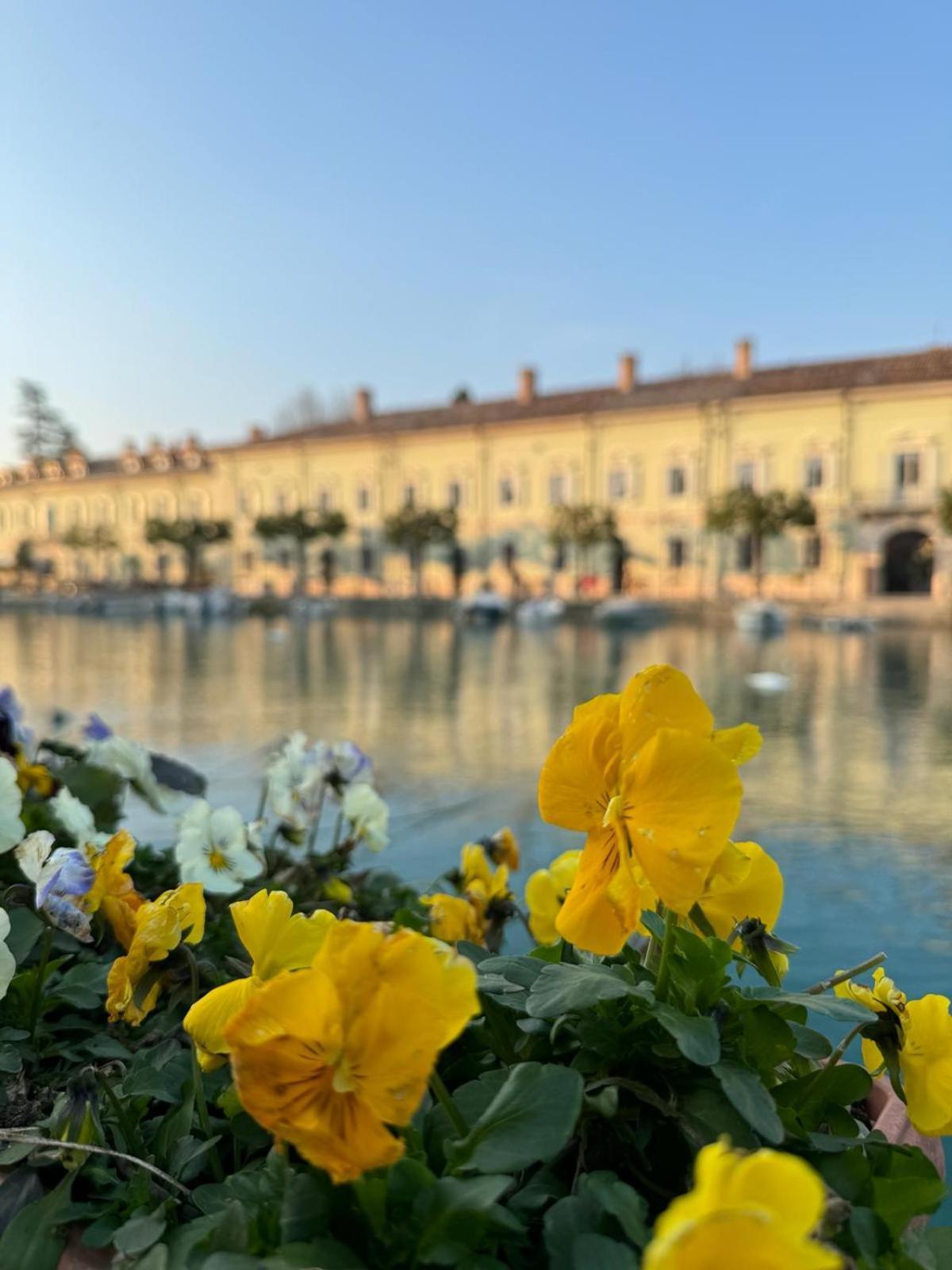 Apartment Residenza Giovanni Fronte Lago - Garda Lago Peschiera del Garda